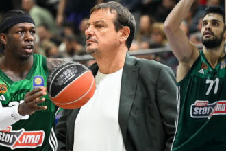 panathinaikos mind games diloseis kai tragodia