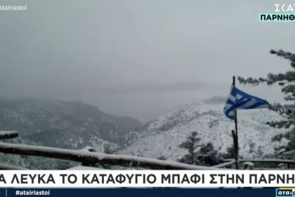 Χιονισμένο τοπίο στην Πάρνηθα, με τα δέντρα και το έδαφος καλυμμένα από φρέσκο χιόνι.