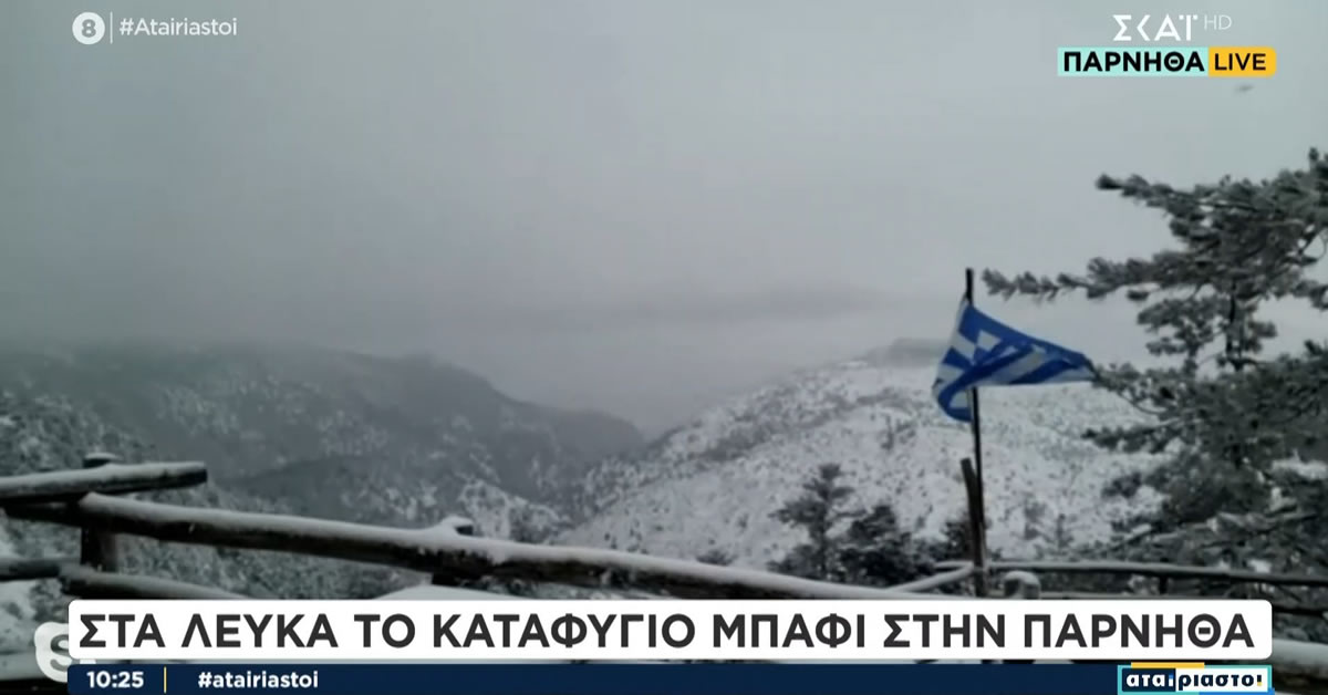 Χιονισμένο τοπίο στην Πάρνηθα, με τα δέντρα και το έδαφος καλυμμένα από φρέσκο χιόνι.